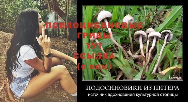 амфетамин Алексин